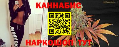 крисы Волгодонск