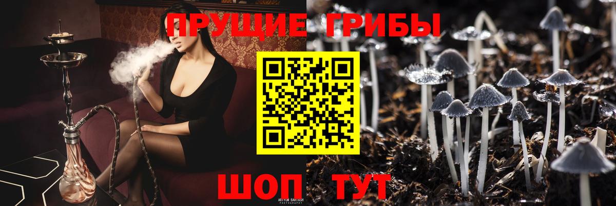 Галлюциногенные грибы Cubensis  Вход с VPN  Бийск 